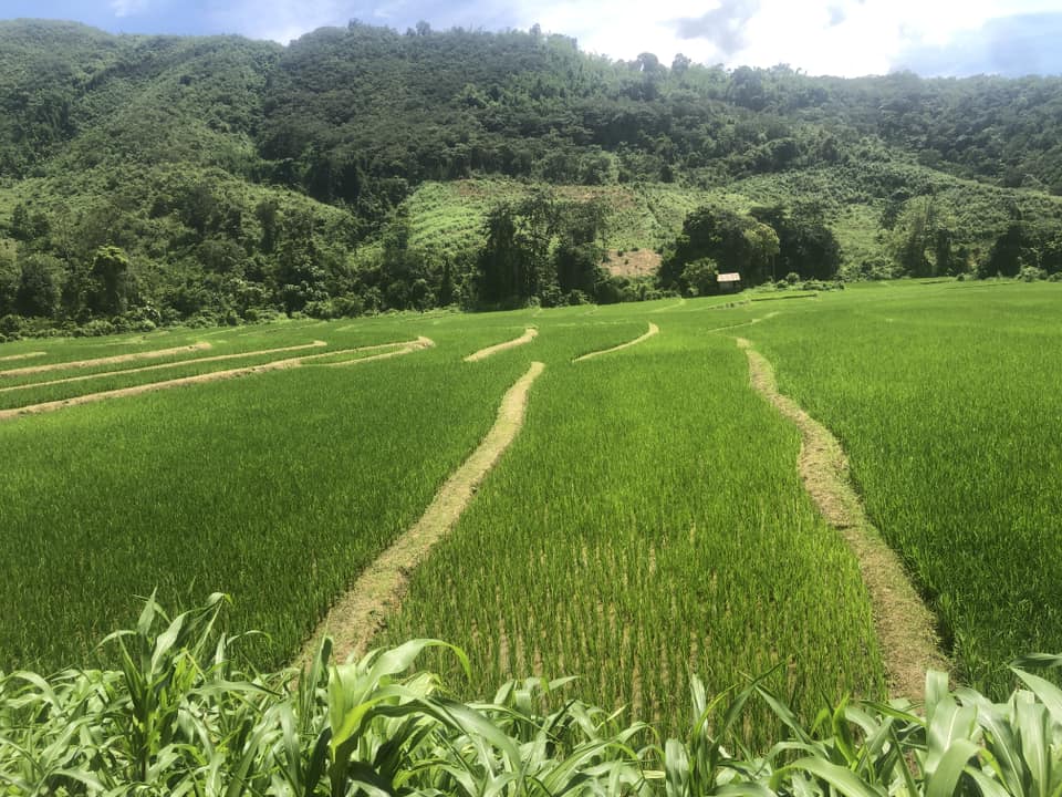 Cycling from Hoi An to Luang Prabang Tour 12 Days